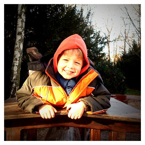 Felix auf dem kalten Holzdach