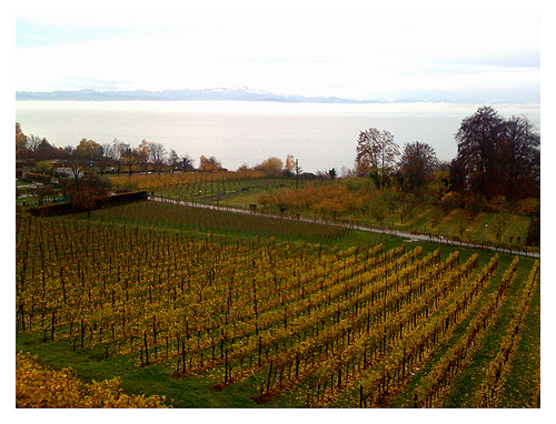 Herbststimmung am Bodensee